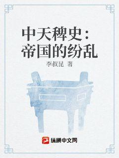 中天稗史：帝国的纷乱